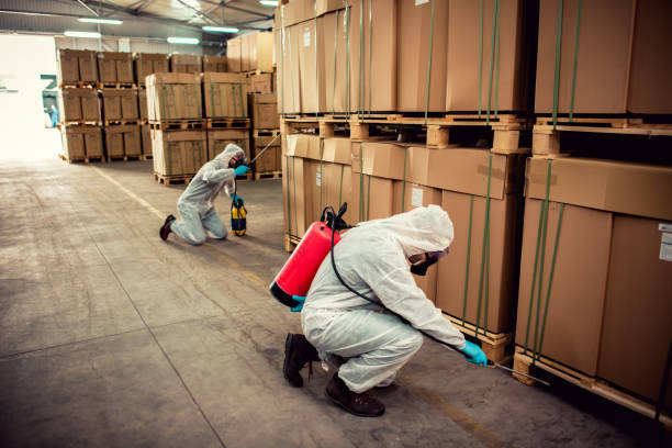 Best Pest Prevention Services  in Lindsay, OK
