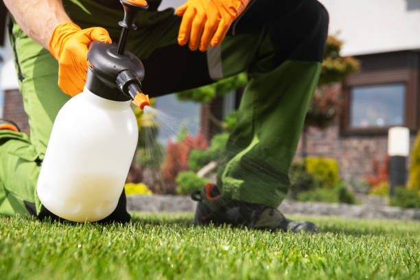 Best Ant Control Services  in Lindsay, OK
