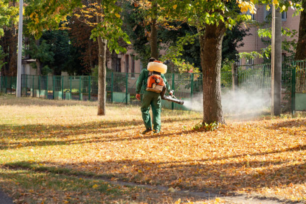 Best Pest Control for Restaurants  in Lindsay, OK